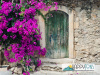 Фотофон виниловый "Стена и дверь"