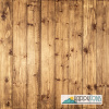 Фотофон виниловый "Гелиос"